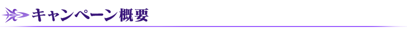 キャンペーン概要